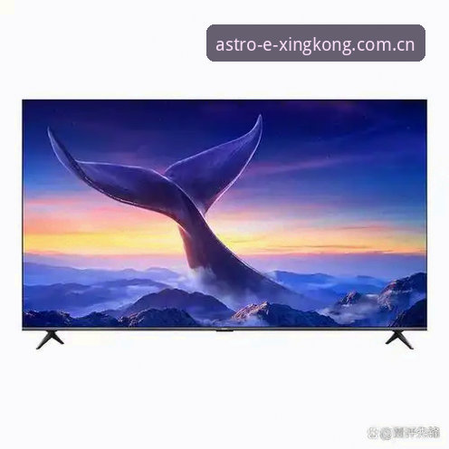 星空APP官网下载2026最新版本 赛场之外的真实人生——从卢卡库的眼泪看版本集智APP带来的沉浸式赛事体验